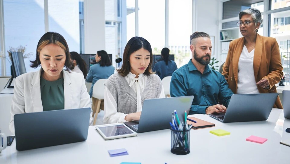 About Pearl Lemon Experiences