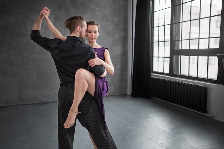 What is an Aerial Silk Performance?
